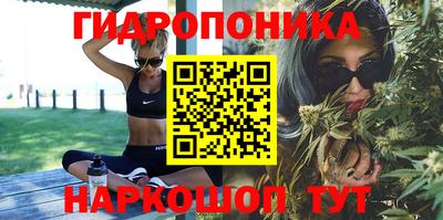 стафф Гатчина