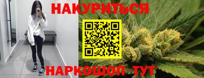 стафф Гатчина