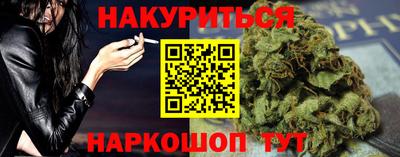 стафф Гатчина