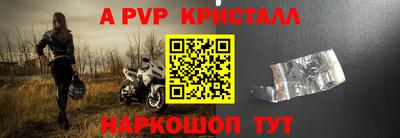 стафф Гатчина