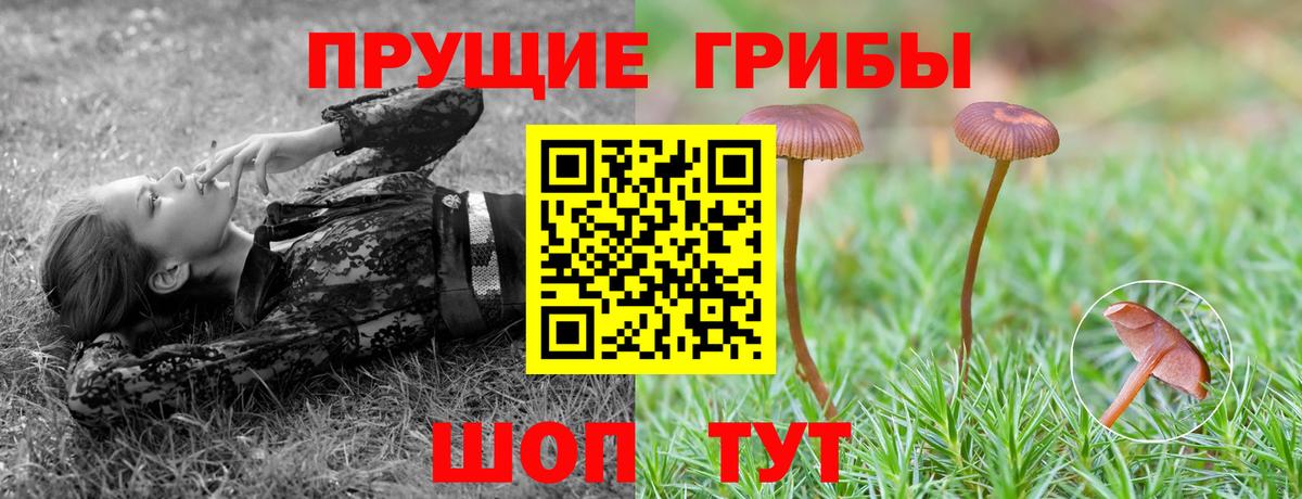 Галлюциногенные грибы ЛСД Ногинск