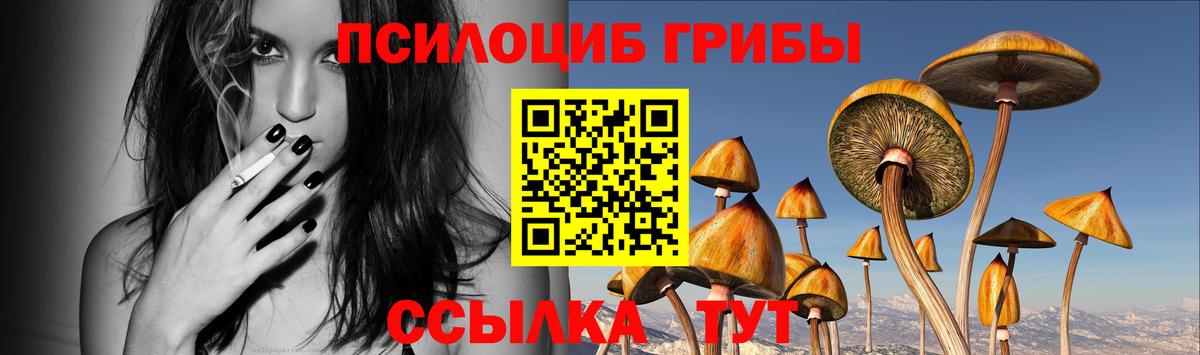 Галлюциногенные грибы MAGIC MUSHROOMS  Вход с VPN  Ногинск  Галлюциногенные грибы прущие грибы 